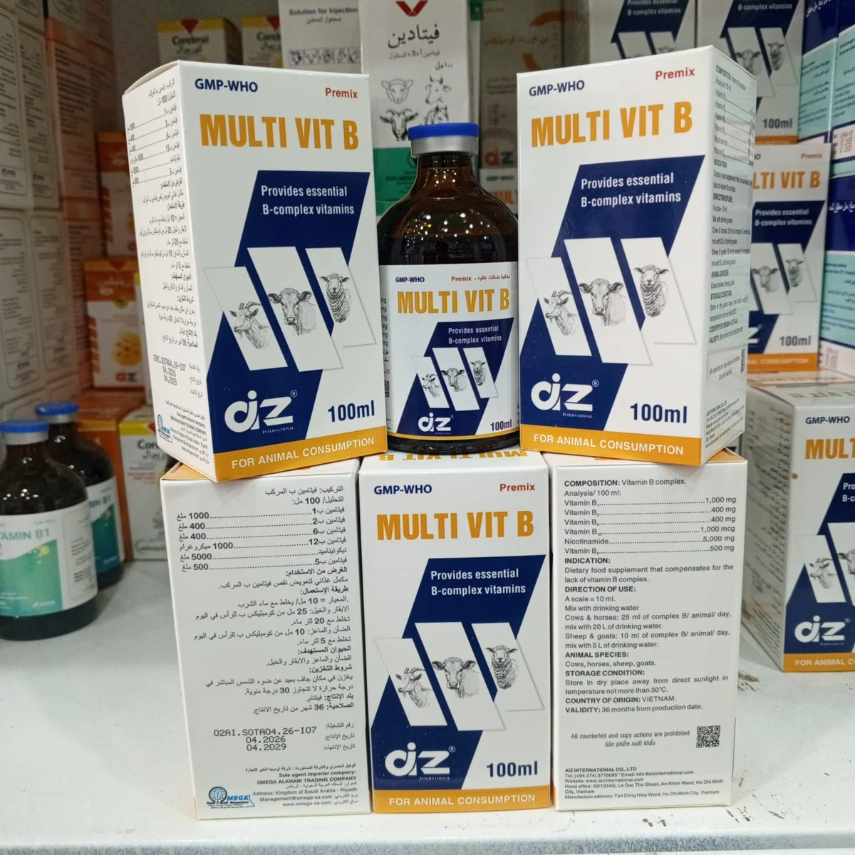 Multi-Vit B 100 ml