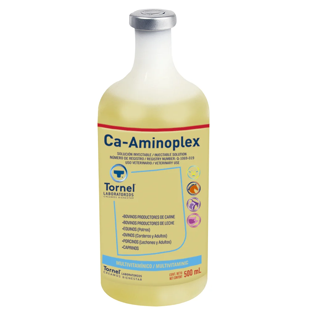 Calcium Aminoplex Infusion Solution 500 ml
